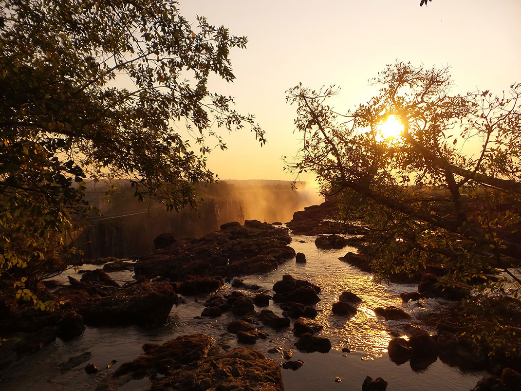 Die Tierwelt und die Wunder von Simbabwe